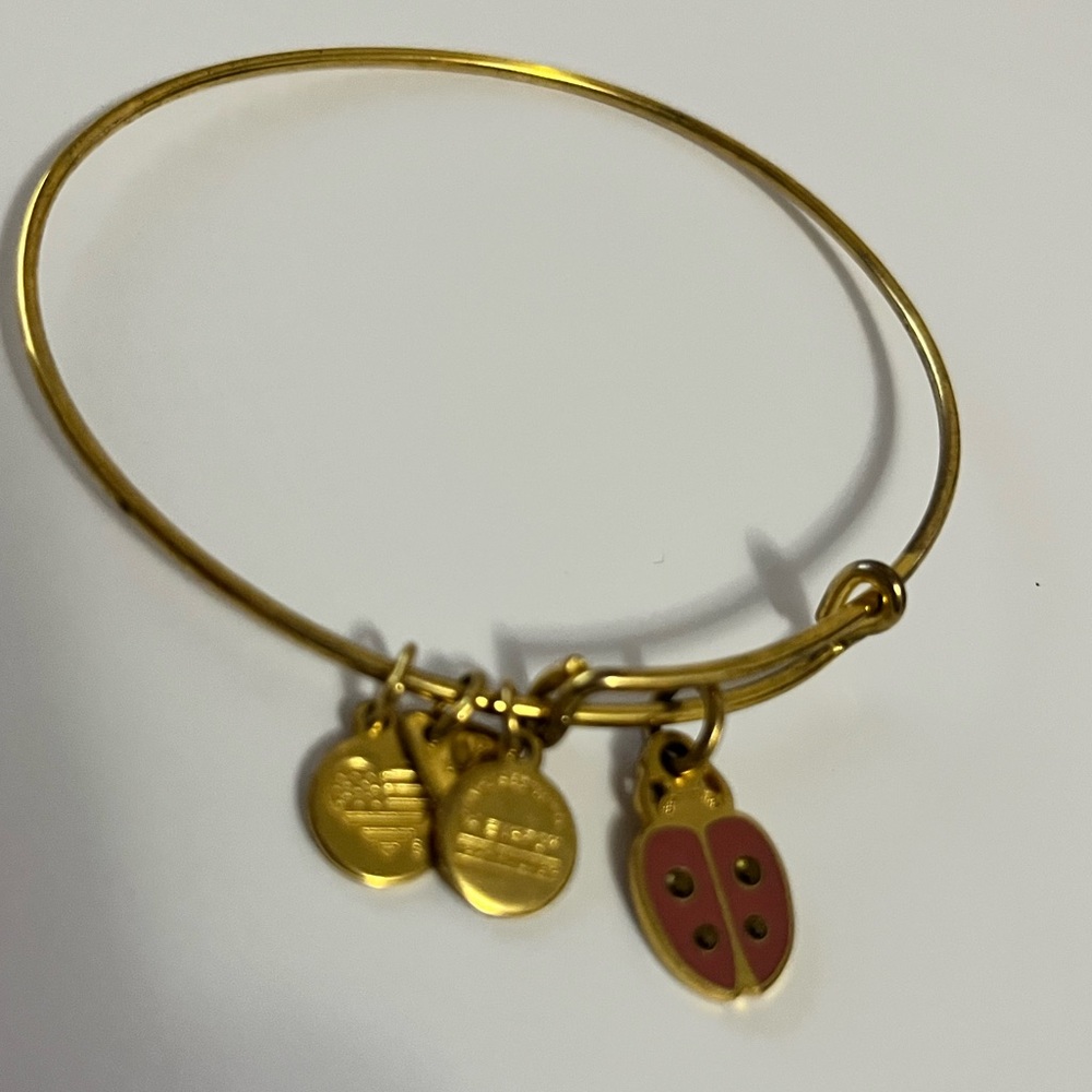 Alex and Ani Ladybug Bracelet